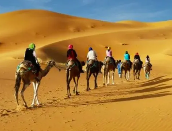 Desert Trek