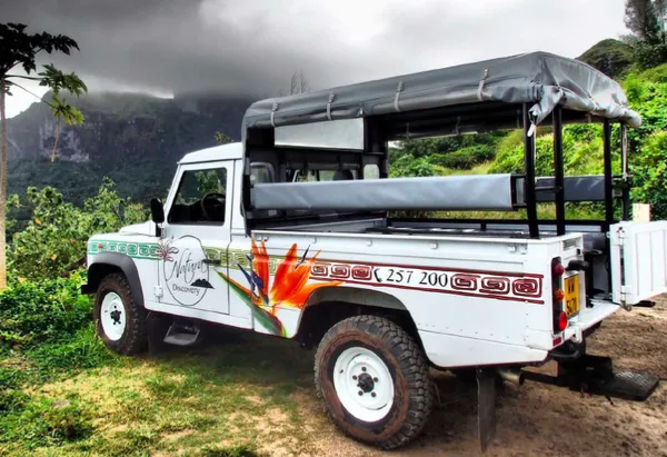 Safari Adventure